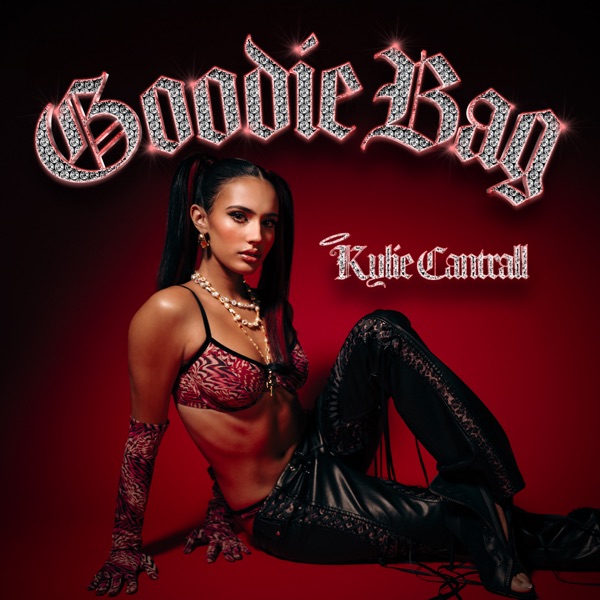 Goodie Bag - Single album cover