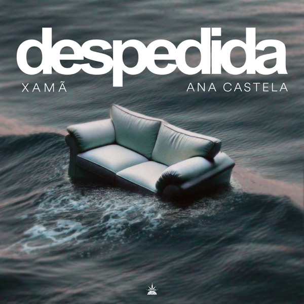 Despedida - Single album cover