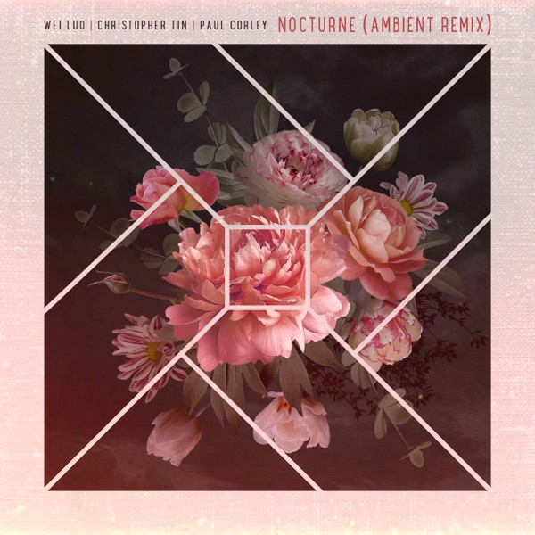 Nocturne (Ambient Remix) - Single album cover