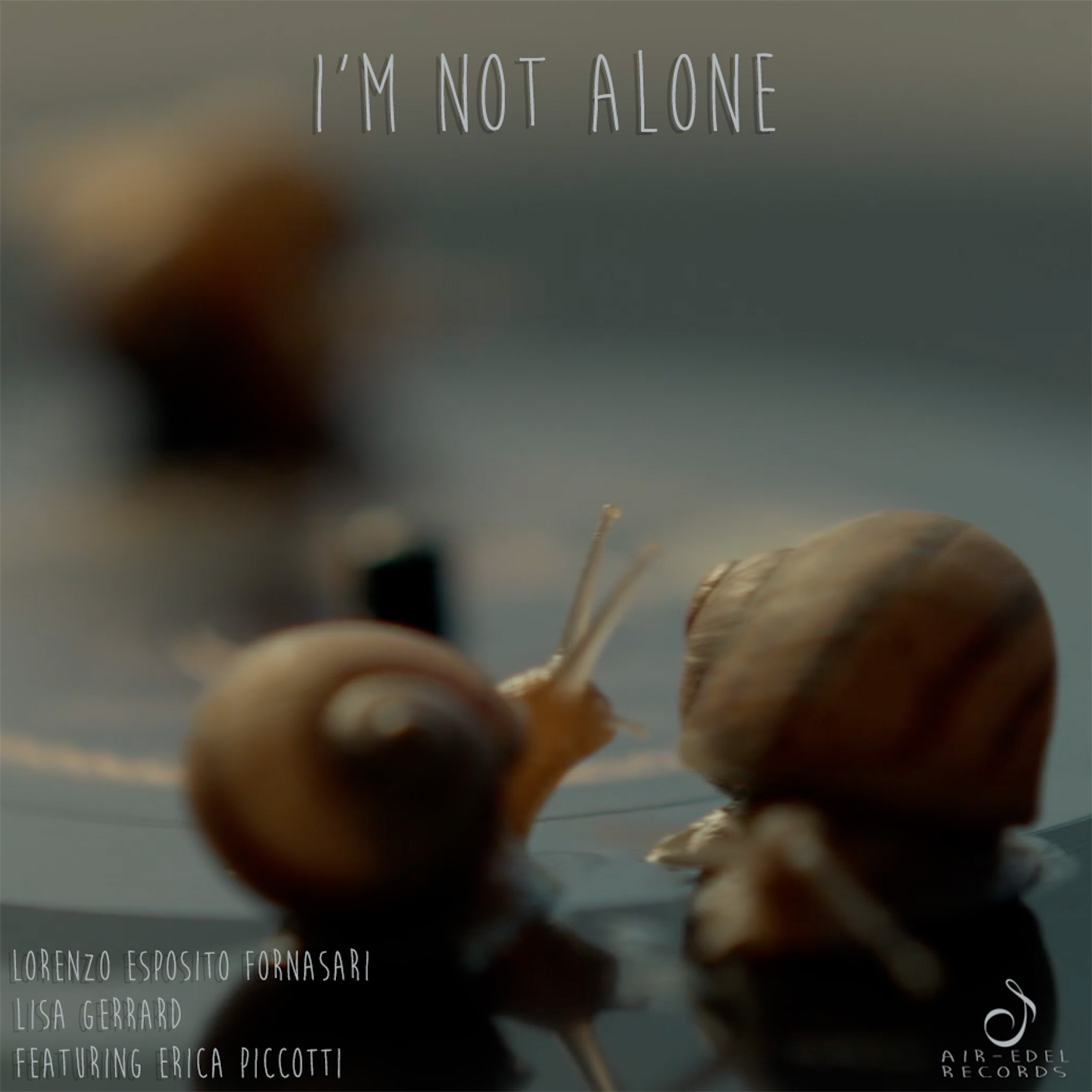I'm Not Alone (feat. Erica Piccotti) - Single album cover