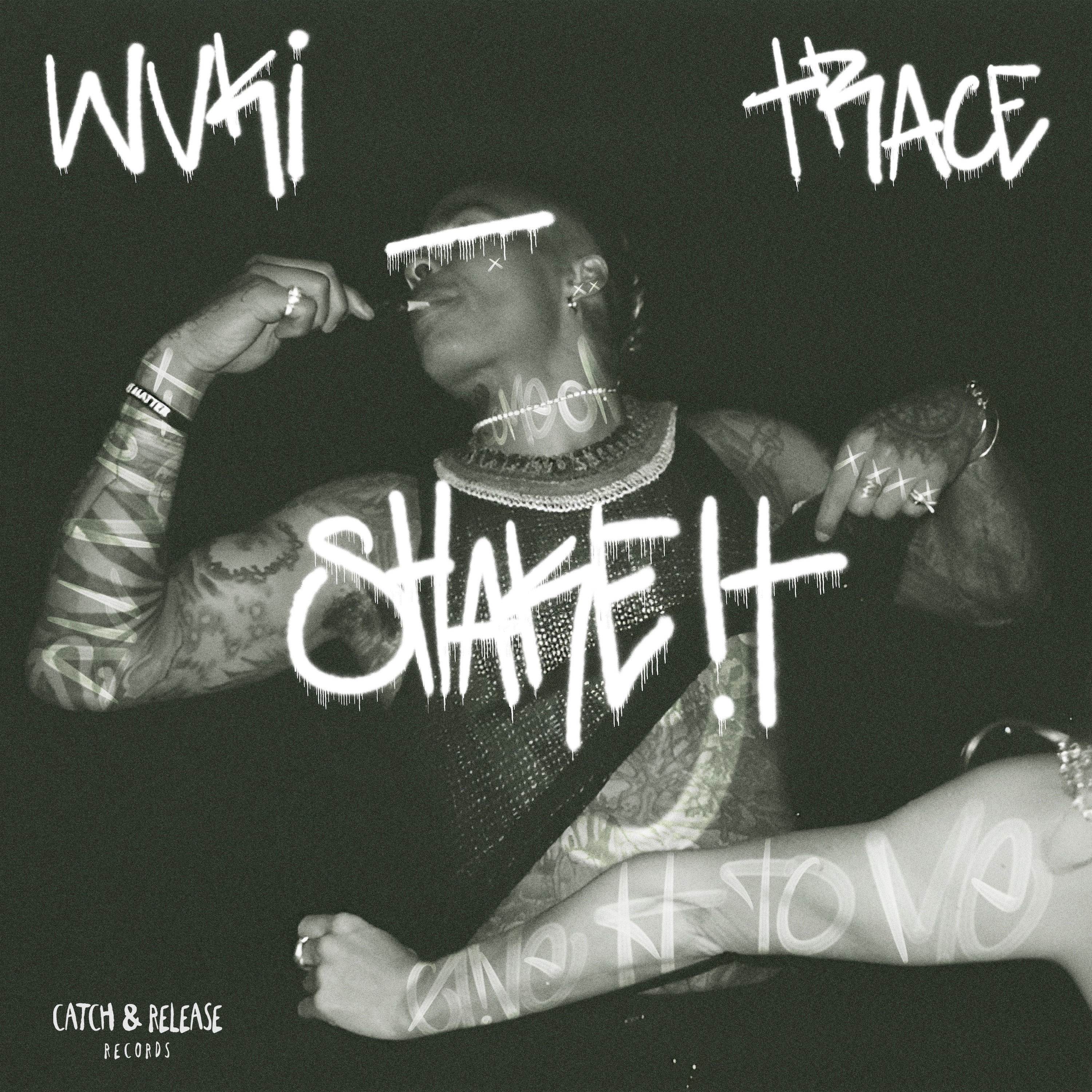 Shake It - Single album cover