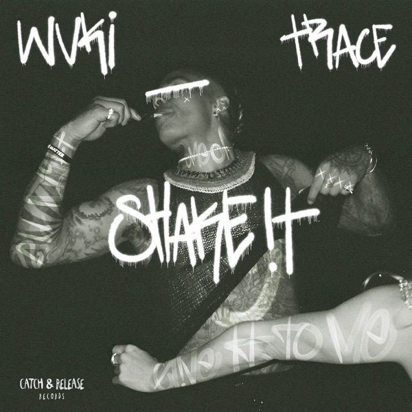 Shake It - Single album cover
