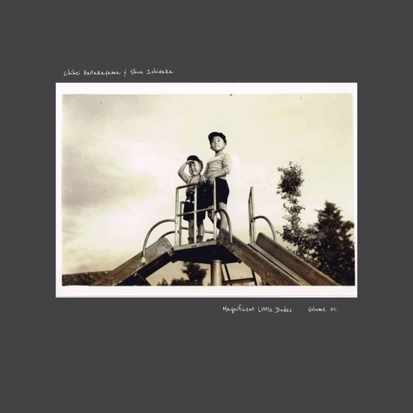 Magnificent Little Dudes, Volume 01. album cover