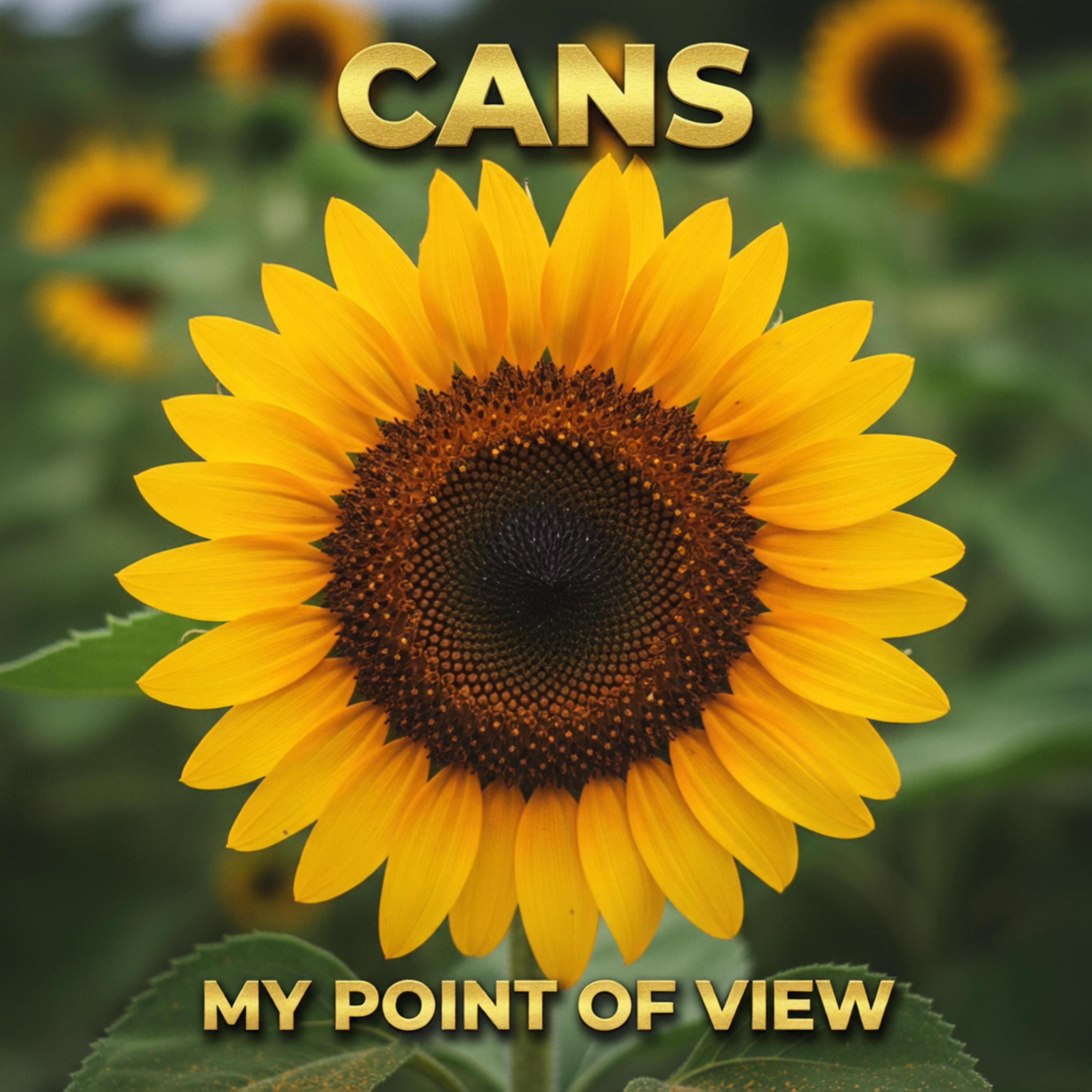 My Point of View (feat. Cans) - Single album cover