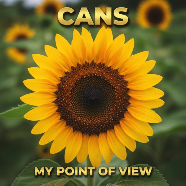 My Point of View (feat. Cans) - Single album cover