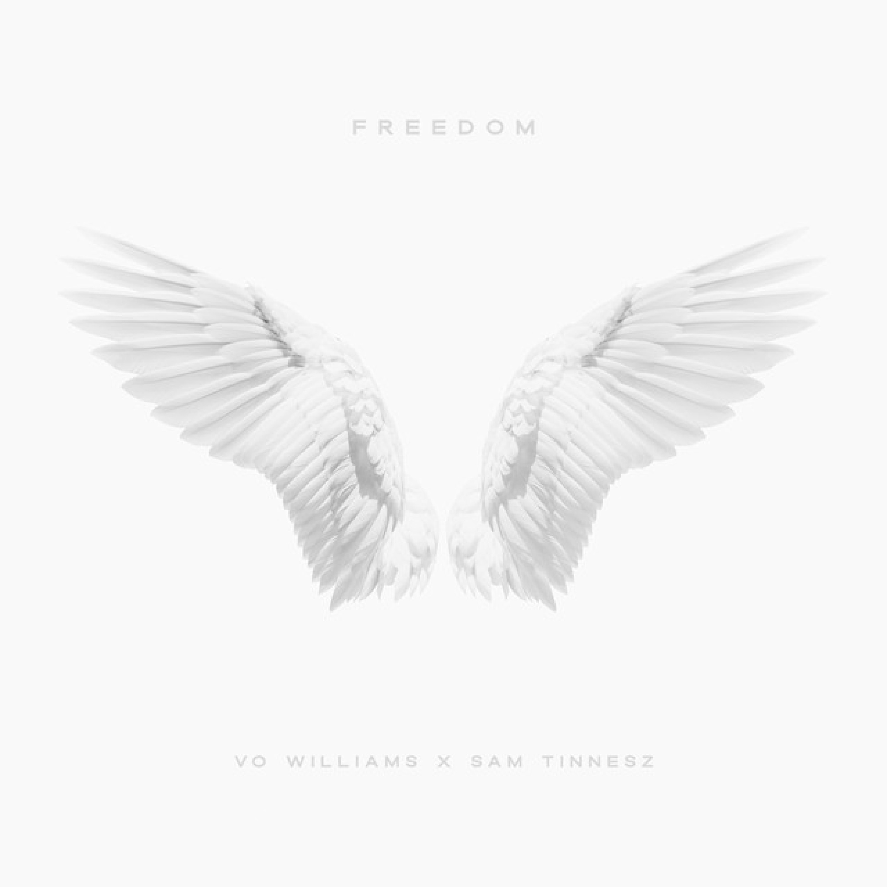 FREEDOM - Single album cover