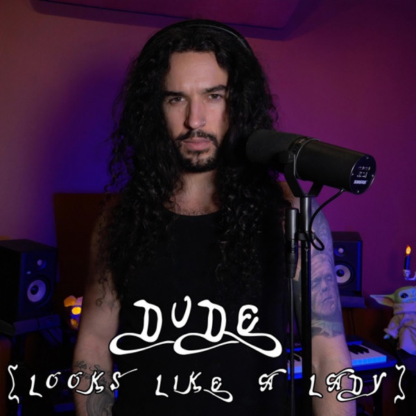 Dude Looks Like A Lady (In the style of Disturbed) - Single album cover