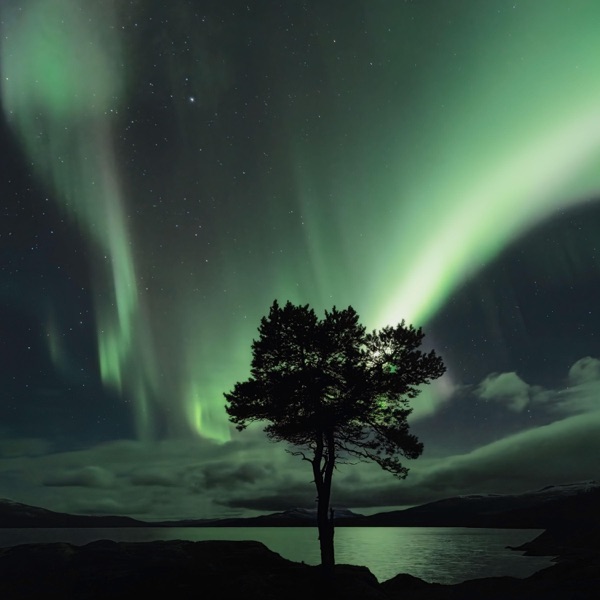 Sky Full of Aurora - Single album cover
