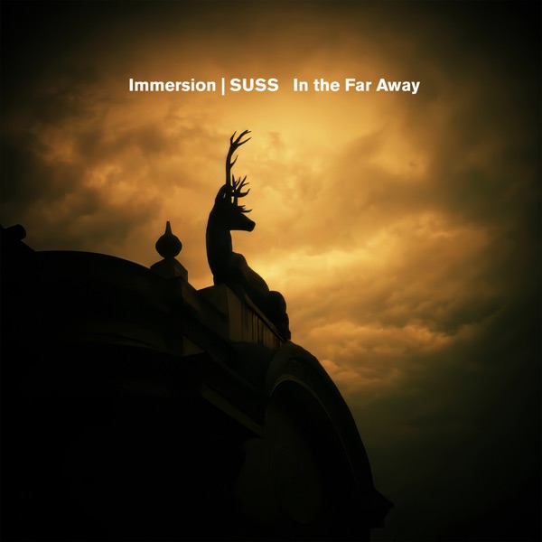 In The Far Away - Single album cover