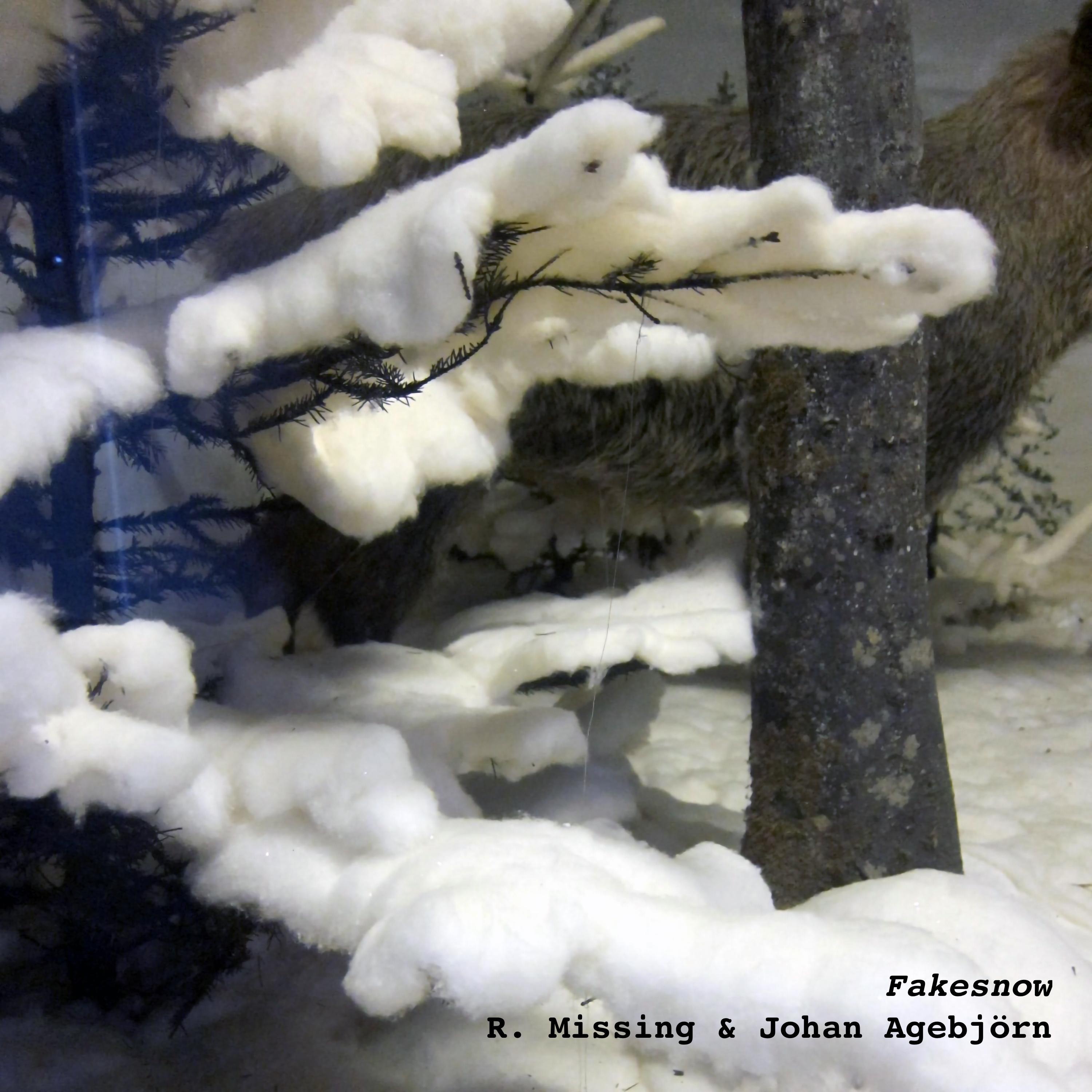 Fakesnow - Single album cover
