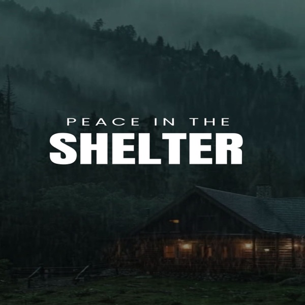 Peace in the Shelter - Single album cover