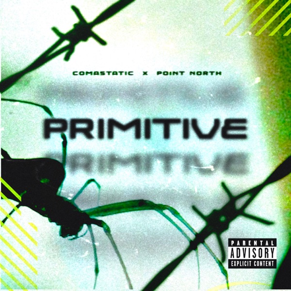 PRIMITIVE (feat. Point North) - Single album cover