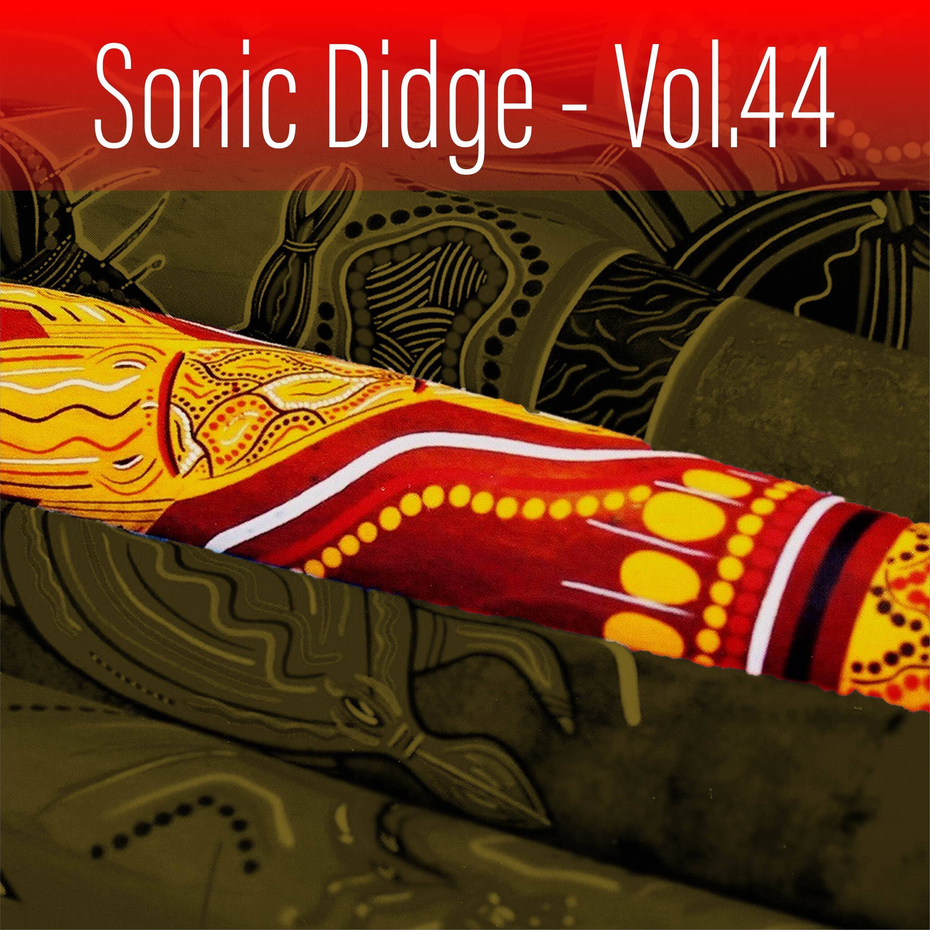 Sonic Didge, Vol. 44 album cover