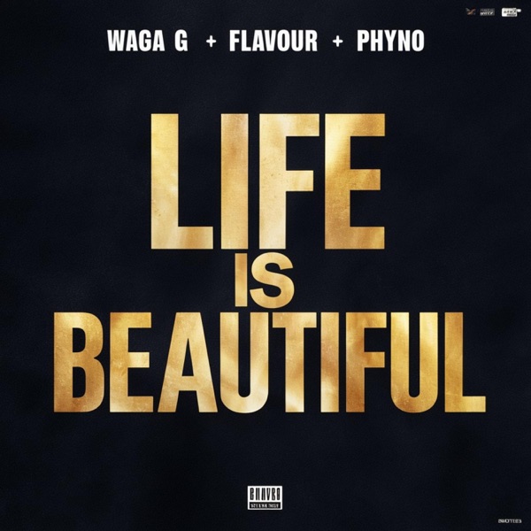 Life is Beautiful (feat. Flavour & Phyno) - Single album cover