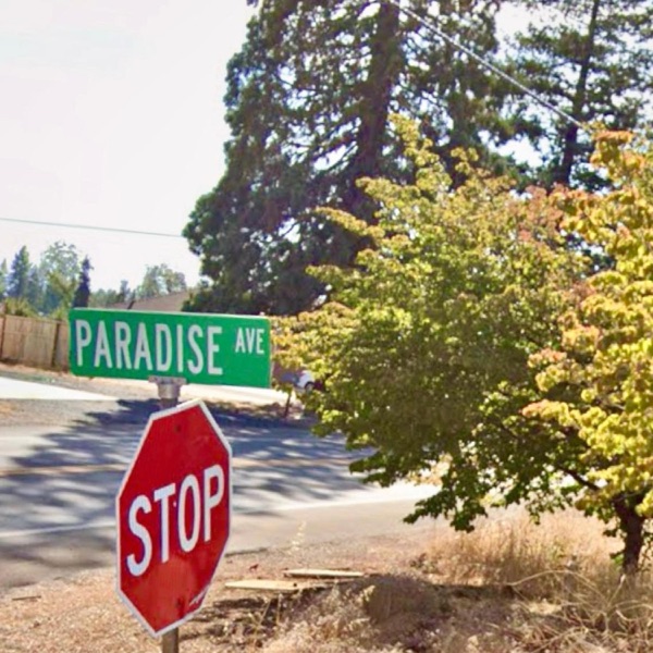 Paradise Ave. (feat. Riki) - Single album cover