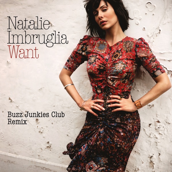 Want (Buzz Junkies Club Remix) - Single album cover