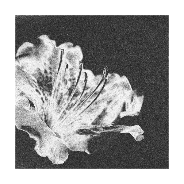 Selune - Single album cover