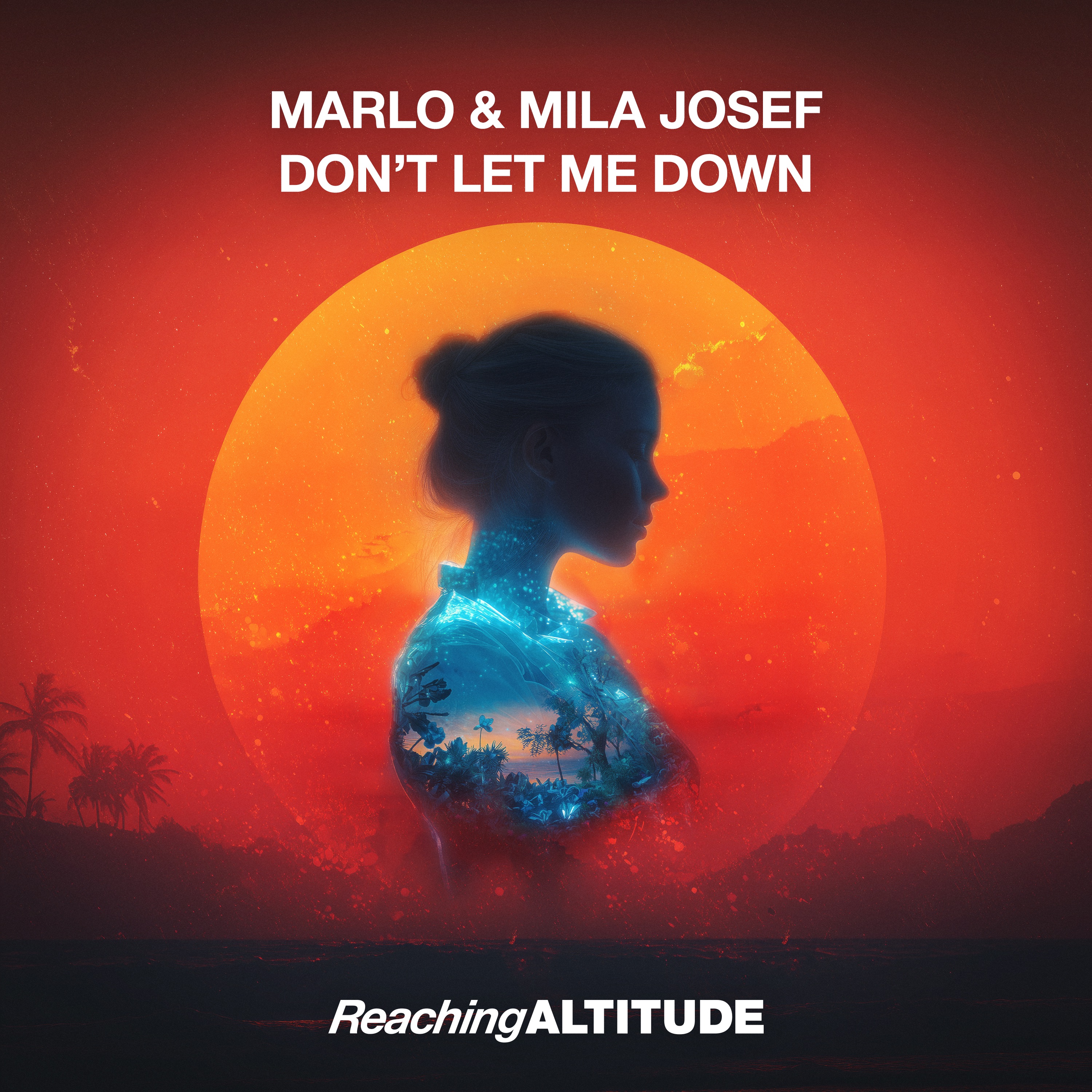 Don't Let Me Down - Single album cover