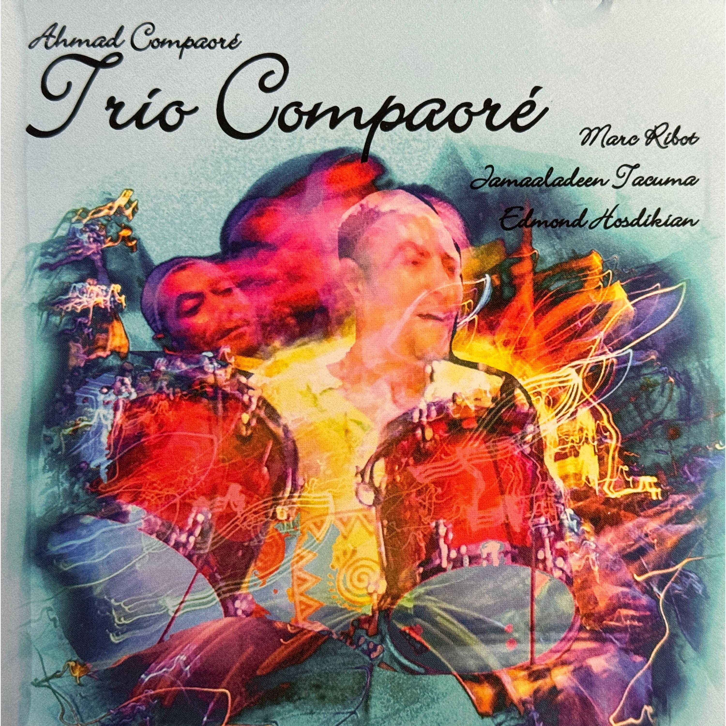 Transitional Meta-Morphosis (feat. Ahmad Compaore, Marc Ribot & Edmond Hosdikian) - Single album cover