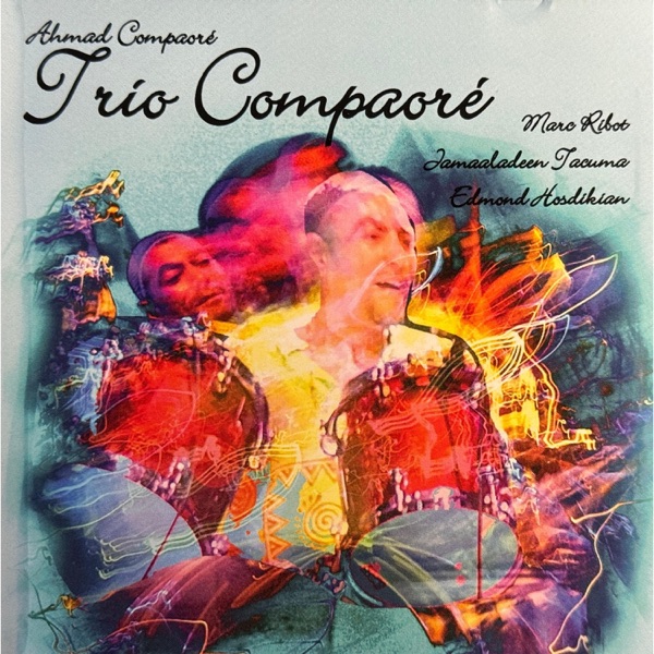 Transitional Meta-Morphosis (feat. Ahmad Compaore, Marc Ribot & Edmond Hosdikian) - Single album cover