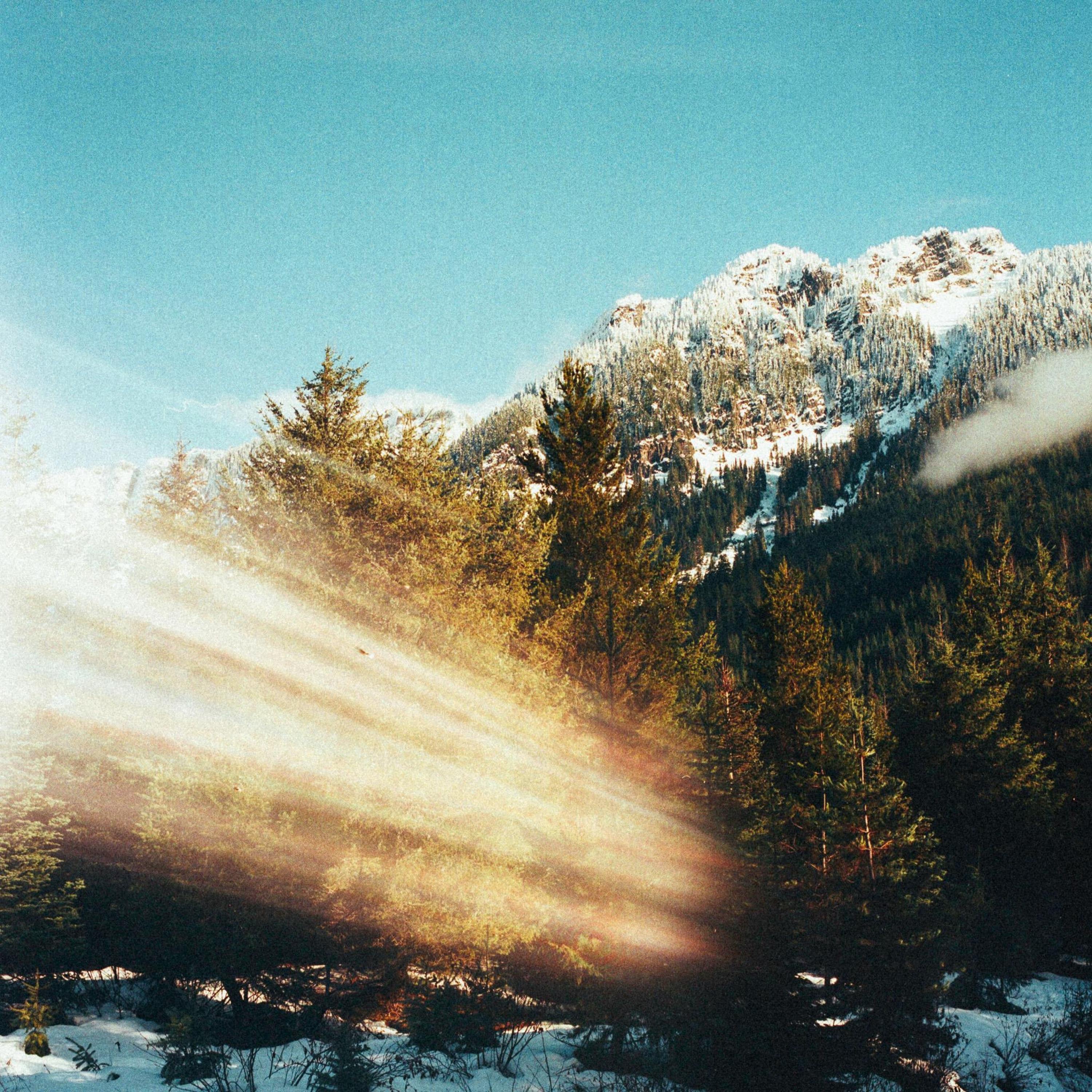 In Part - Single album cover