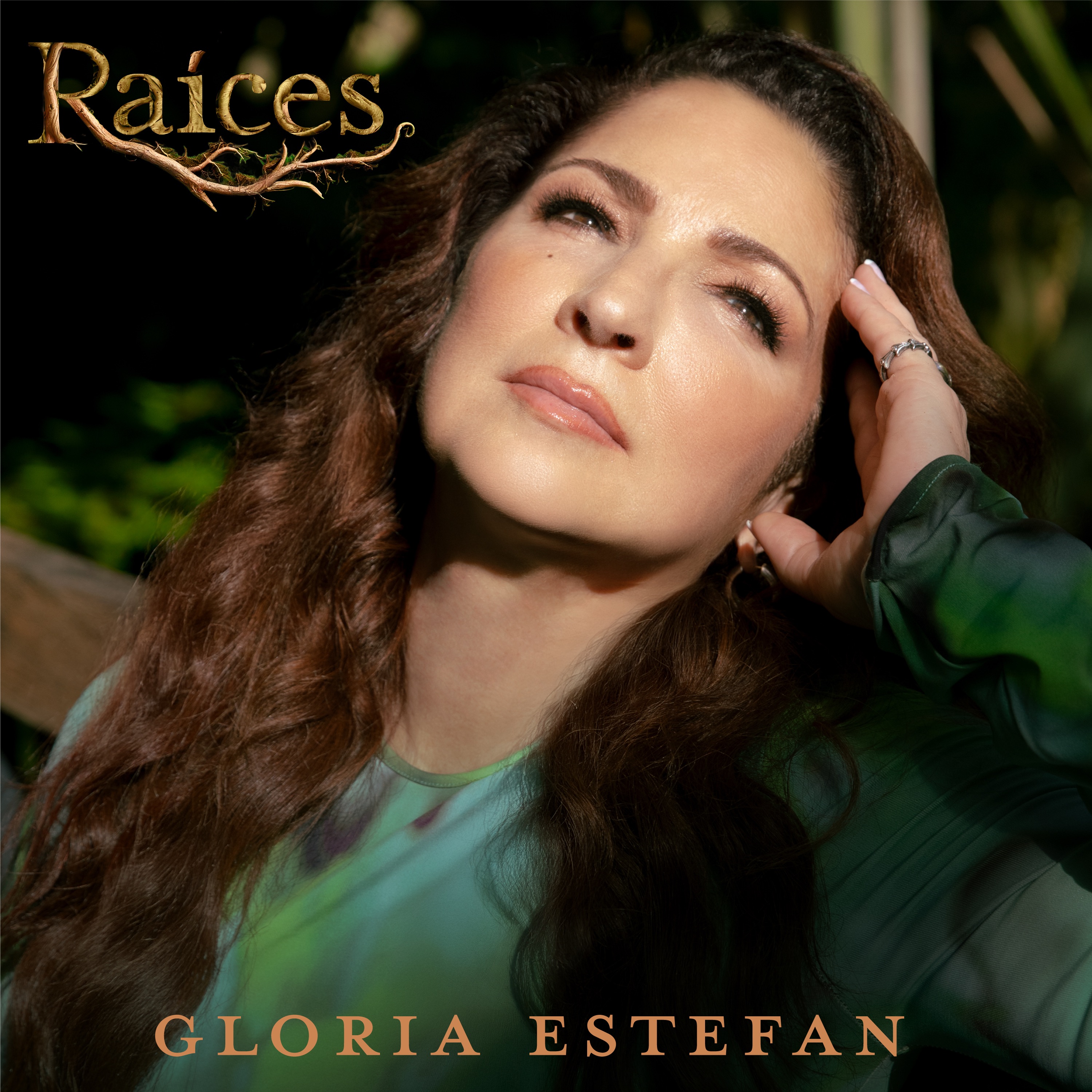 Raíces - Single album cover