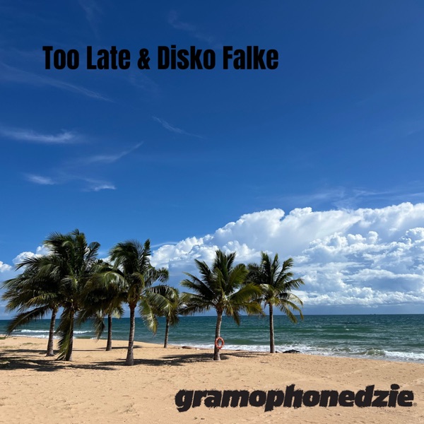 Too Late & Disko Falke - Single album cover