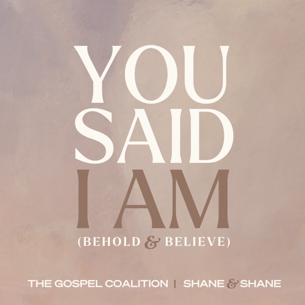 You Said I Am (Behold and Believe) [feat. Shane & Shane] - Single album cover