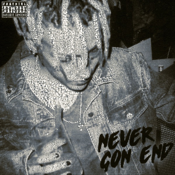 NEVER GON END (Remix) - Single album cover