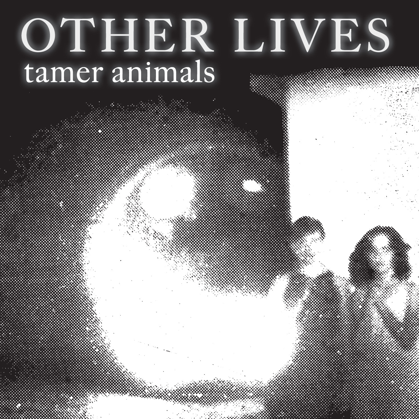Tamer Animals album cover