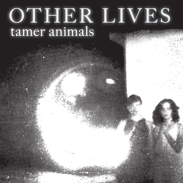 Tamer Animals album cover