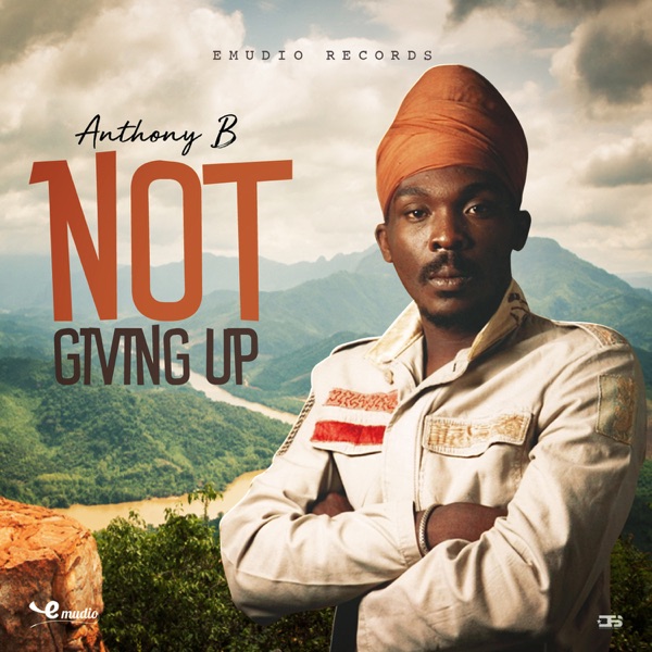 Not Giving Up - Single album cover