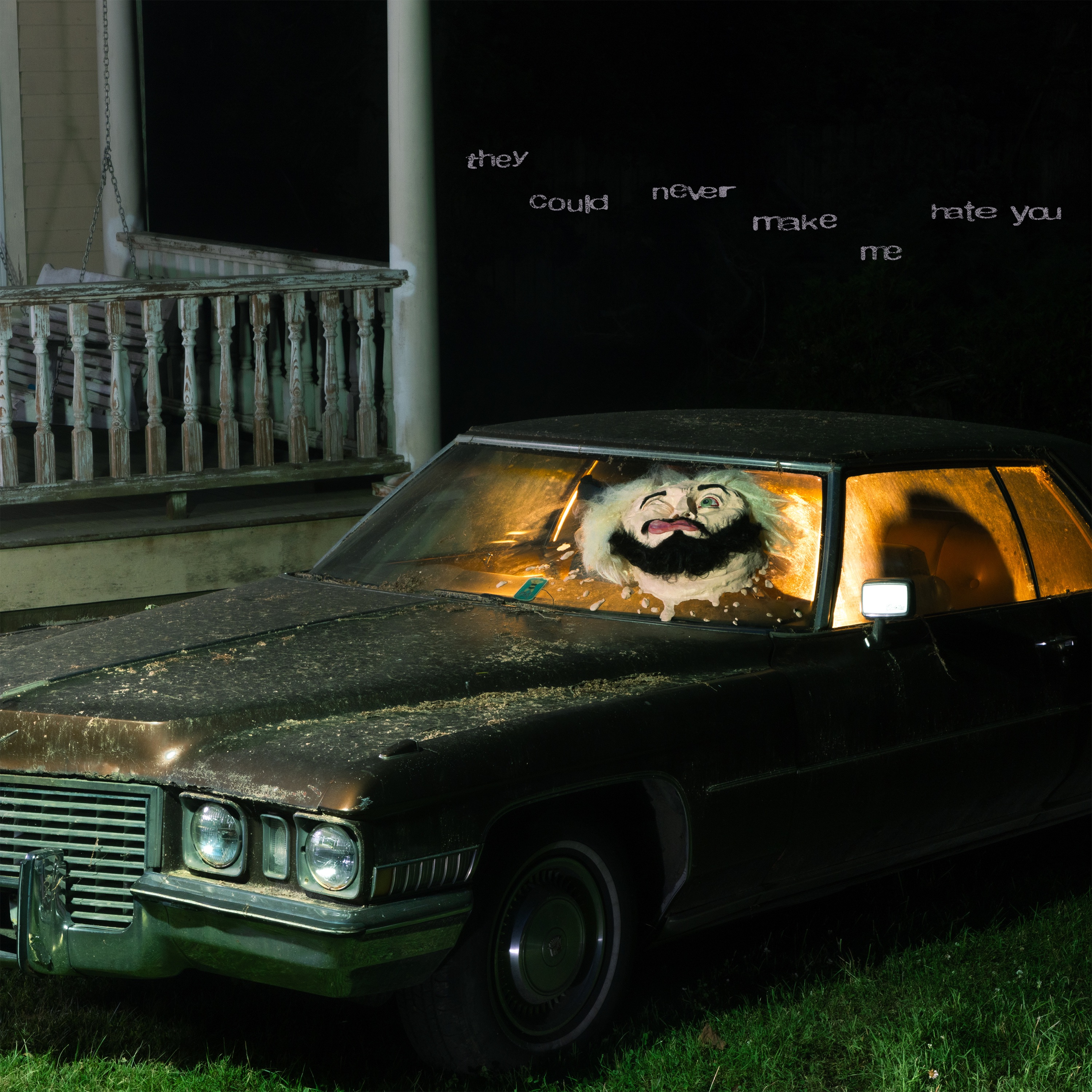 THEY COULD NEVER MAKE ME HATE YOU album cover