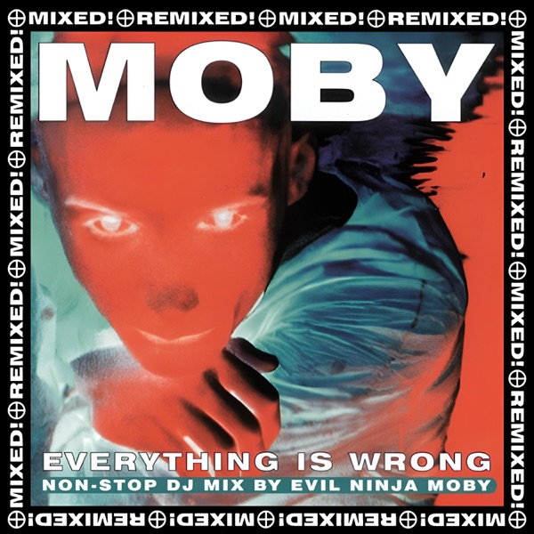 Everything Is Wrong: Non-stop DJ Mix By Evil Ninja Moby album cover
