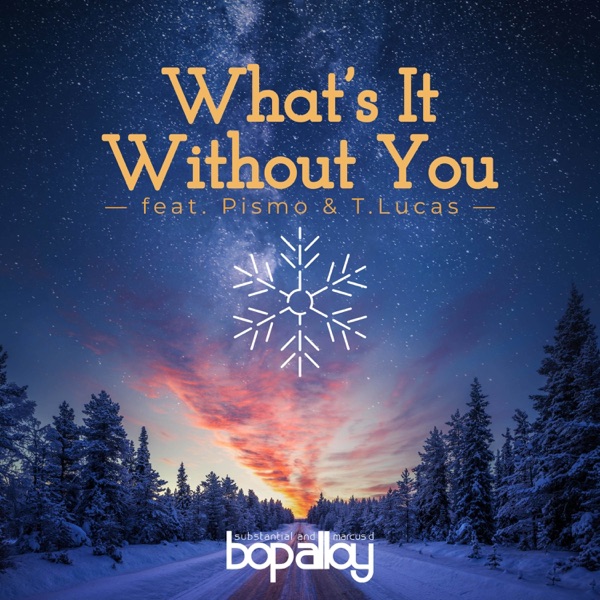 What's It Without You (feat. Pismo) - Single album cover