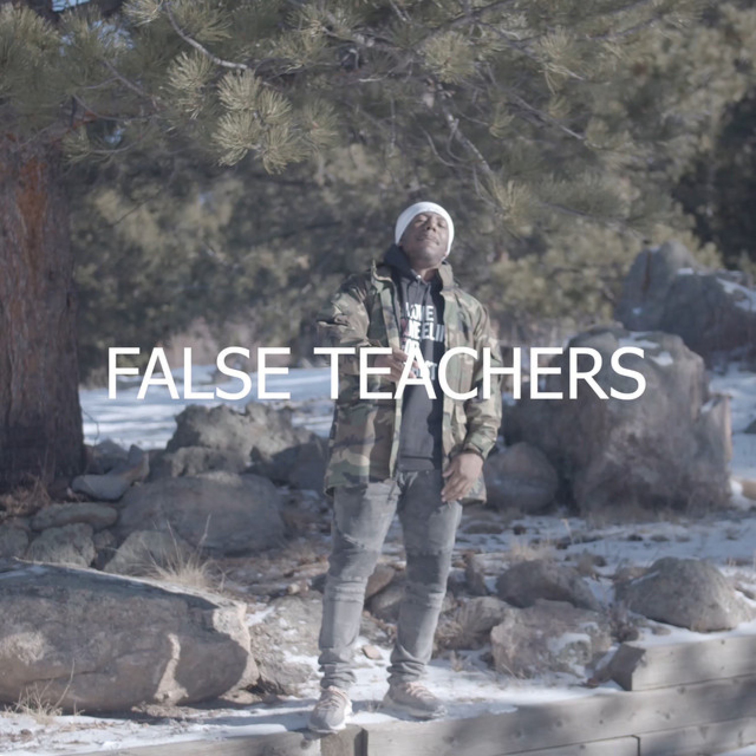 False Teachers - Single album cover