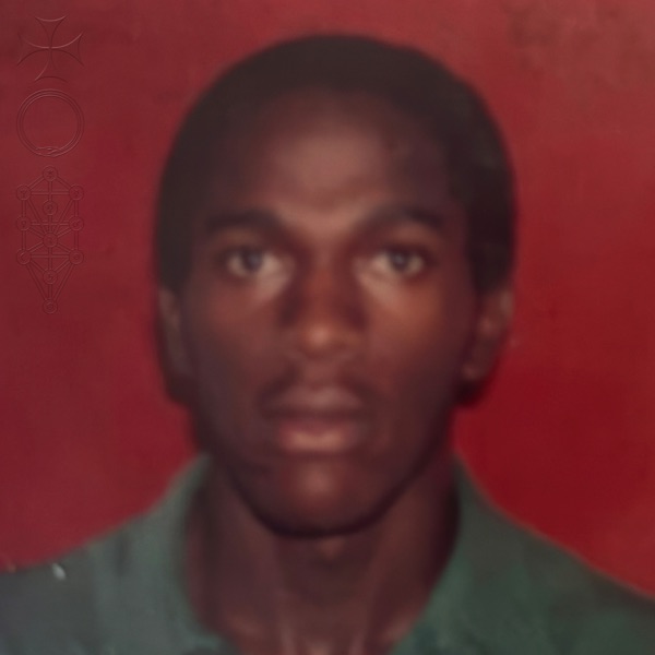 Son Of Spergy album cover