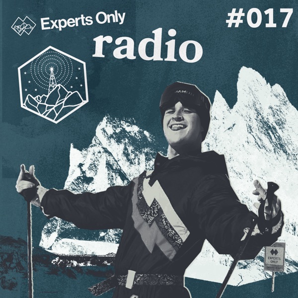 Experts Only #017 (DJ Mix) album cover