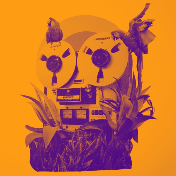 Idea Desesperada (feat. Chicha Libre) - Single album cover