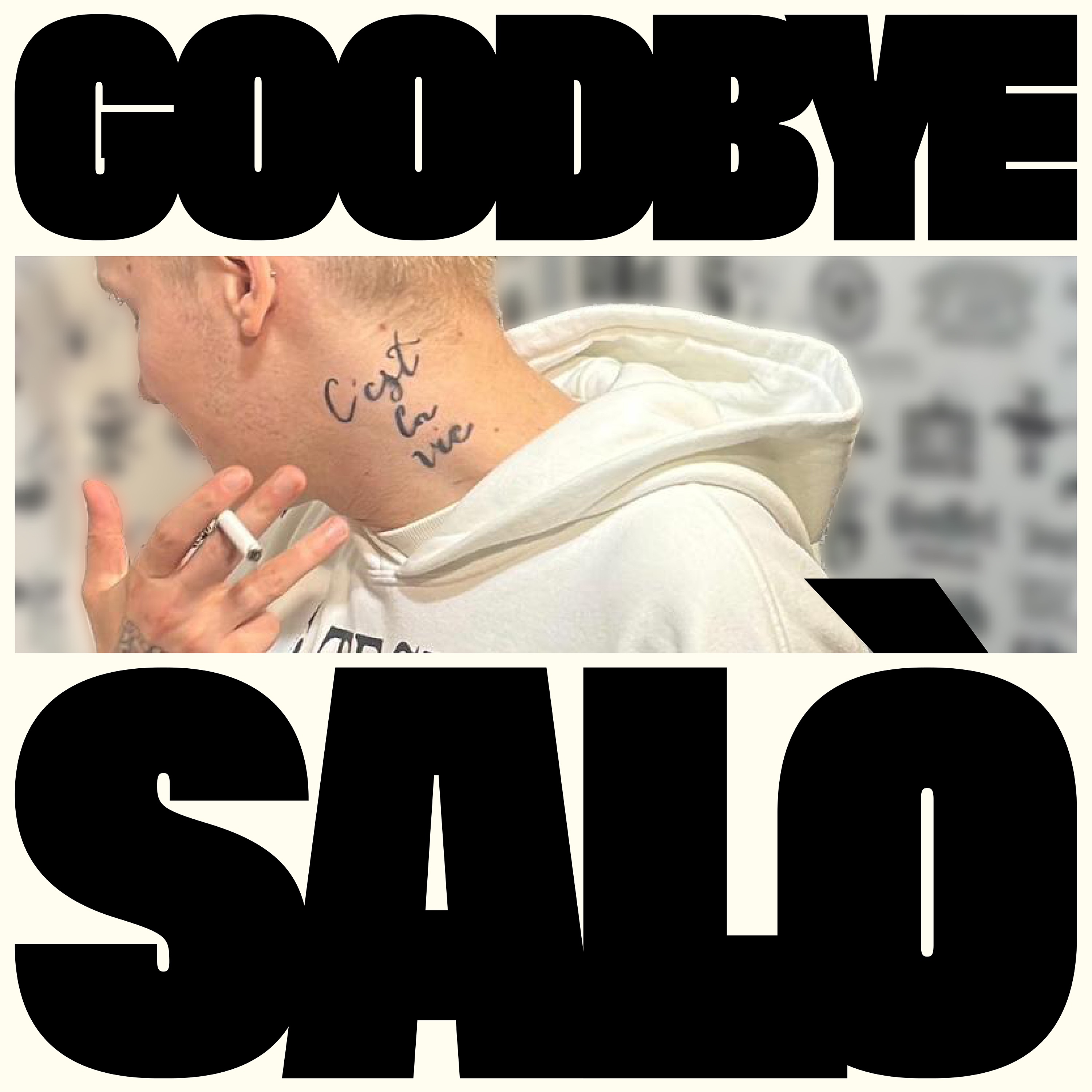 GOODBYE SALÒ THE REMIXES - EP album cover