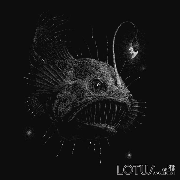 Rise of the Anglerfish album cover