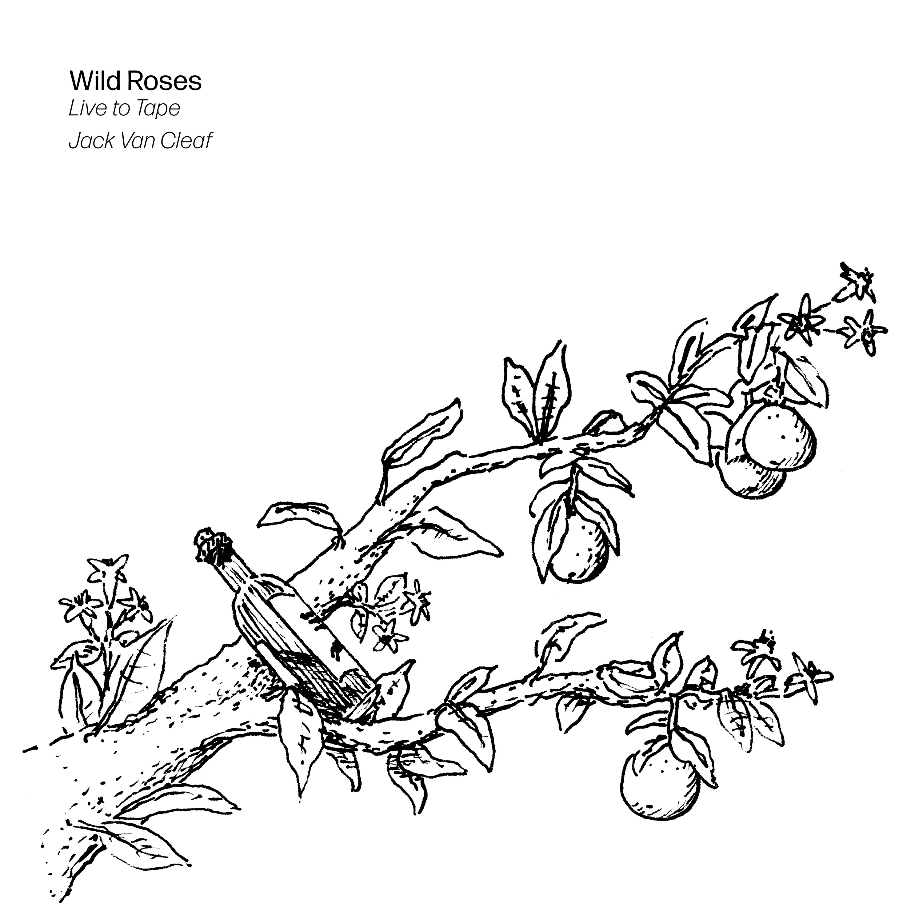 Wild Roses (Live to Tape) - Single album cover