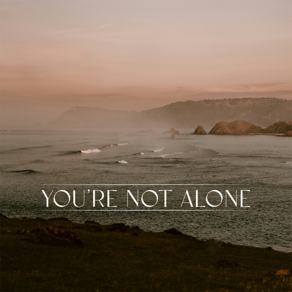 You're Not Alone (James Carter Remix) [feat. RY X] - Single album cover