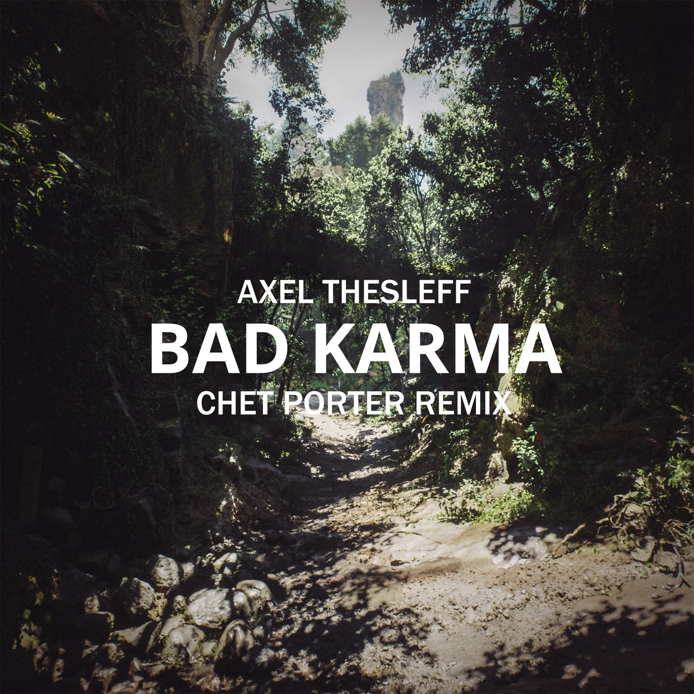 Bad Karma (Chet Porter Remix) - Single album cover
