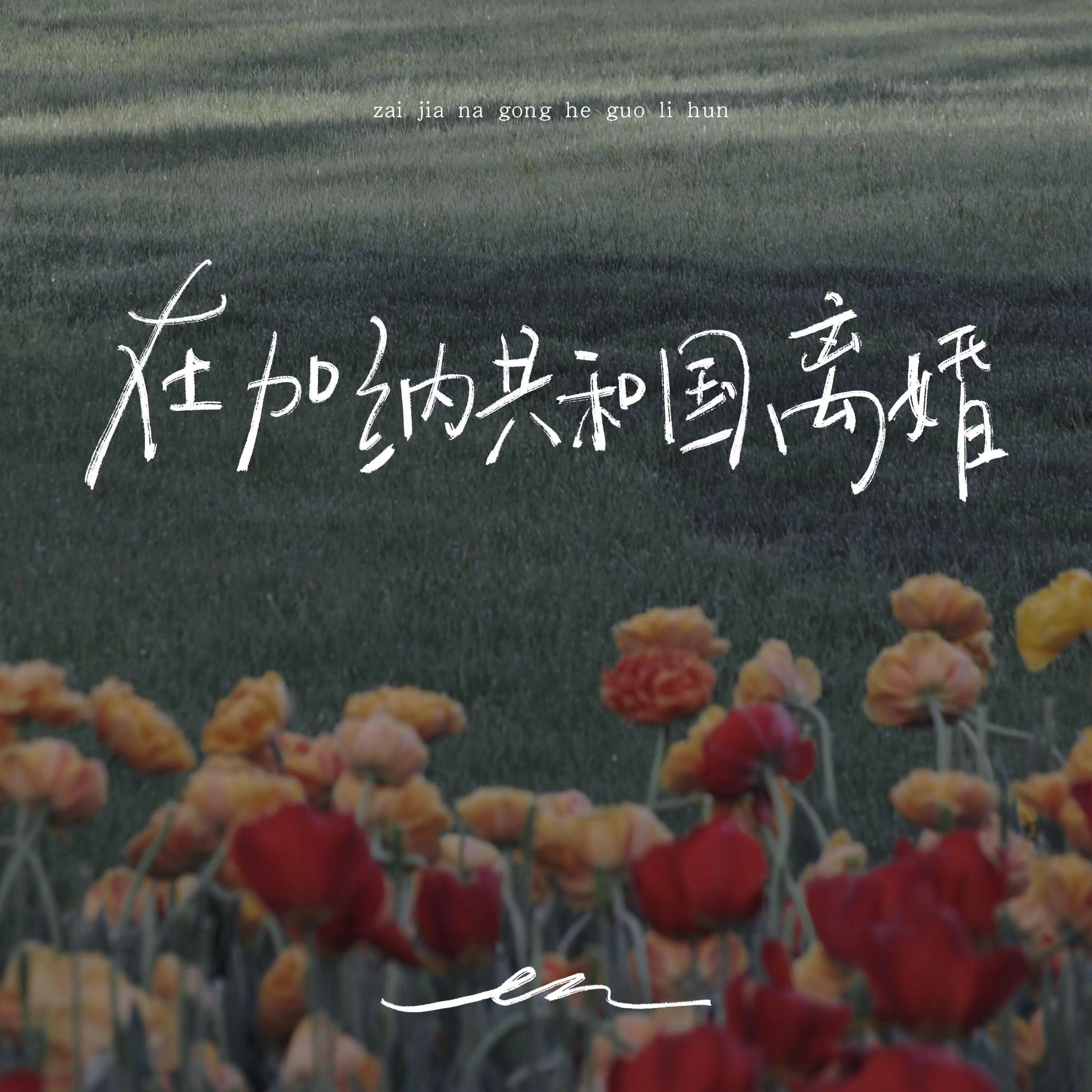 在加纳共和国离婚 - Single album cover