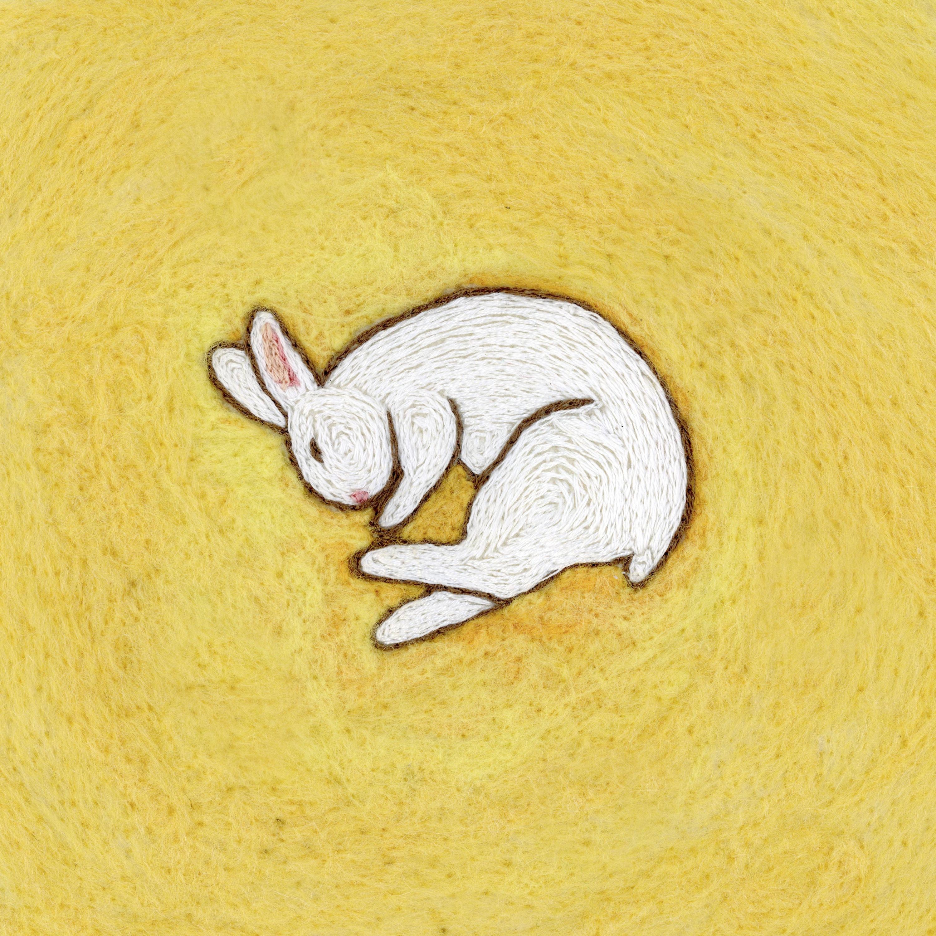 Death of a Rabbit album cover