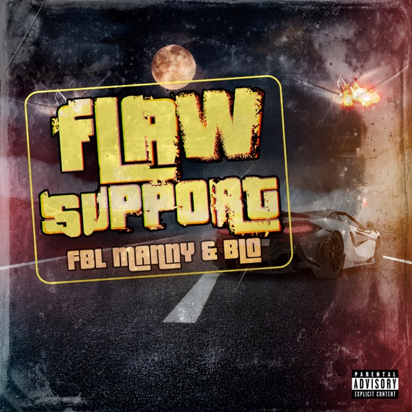 FLAW SUPPORT - Single album cover
