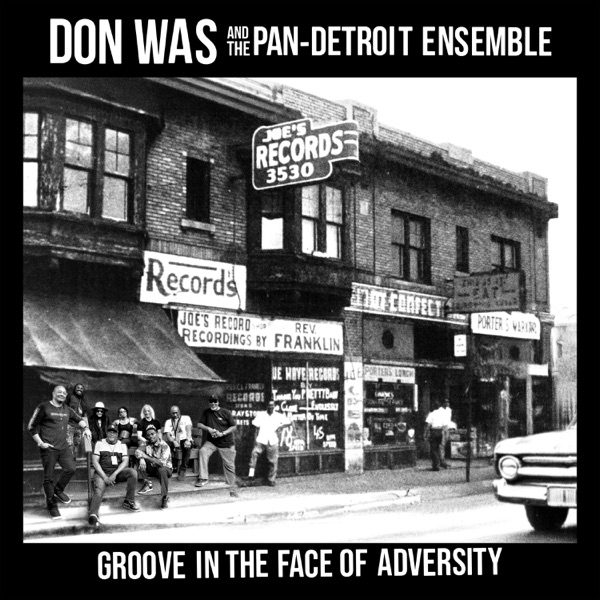 Groove In The Face Of Adversity album cover