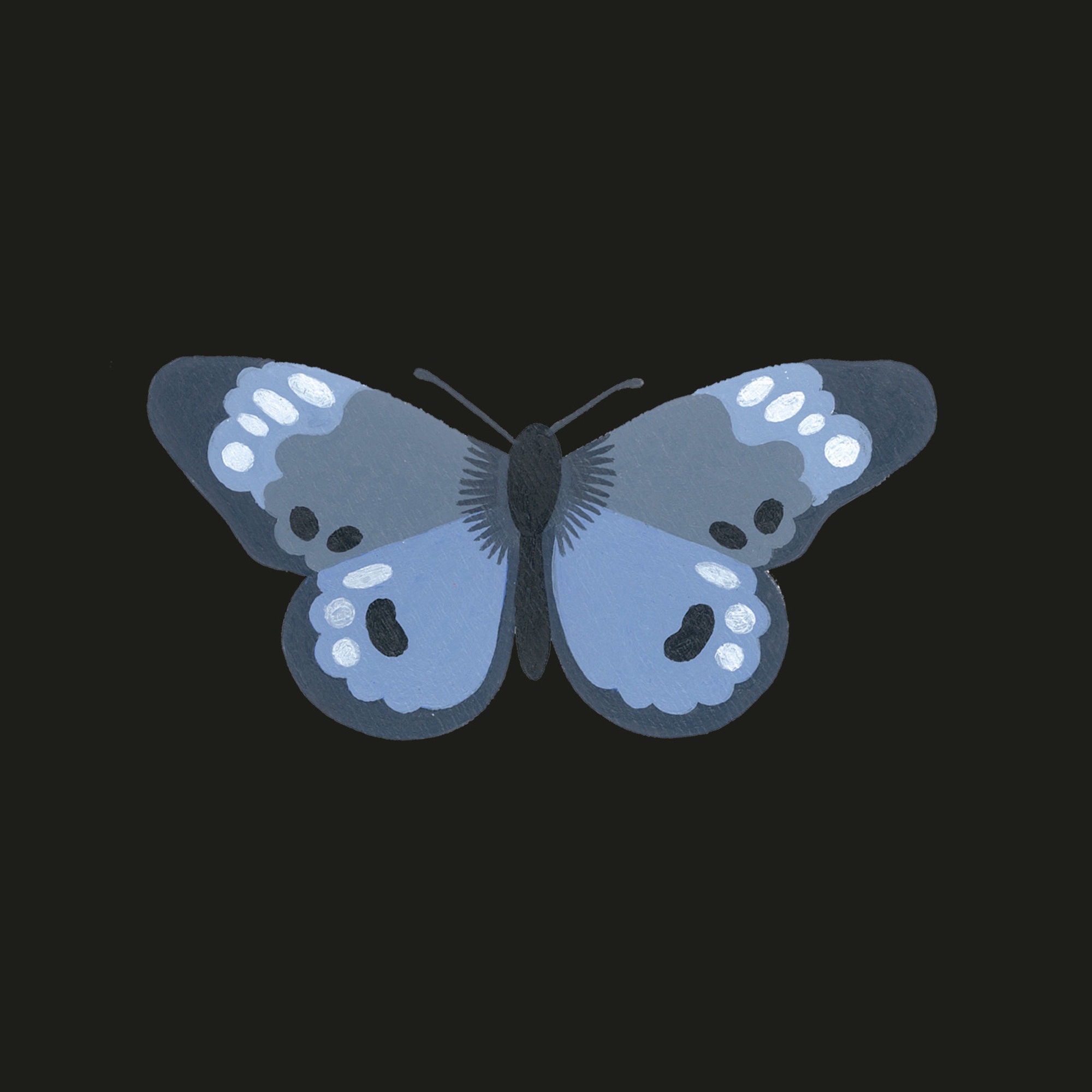 Butterfly - Single album cover