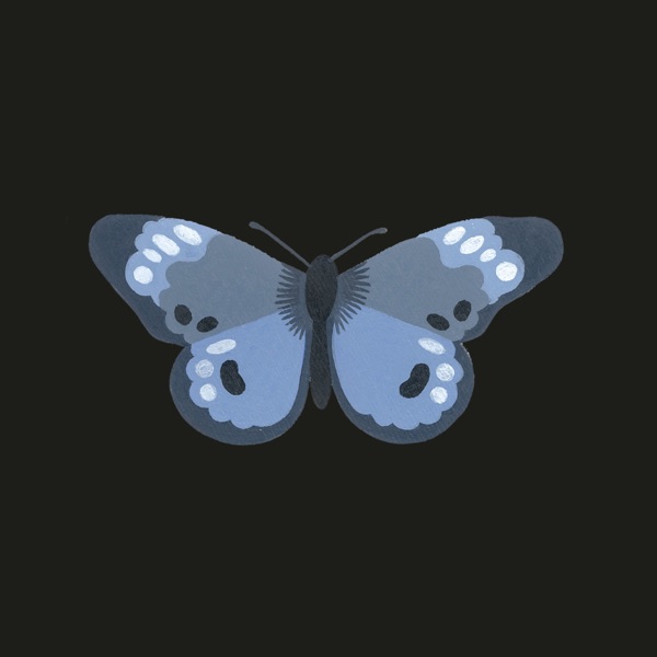 Butterfly - Single album cover